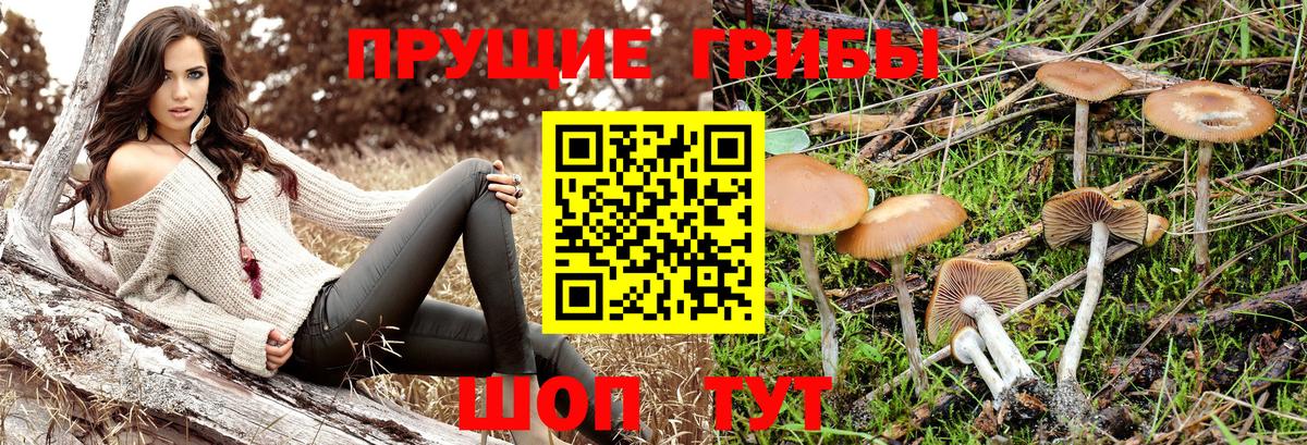 Верхняя Салда  цены наркотик  Вход с VPN  Галлюциногенные грибы прущие грибы 