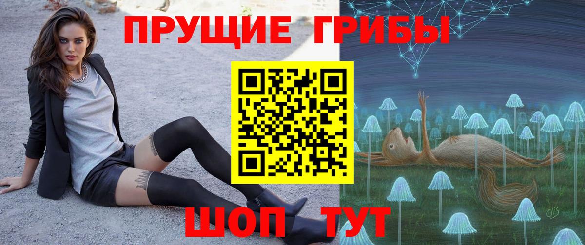 Псилоцибиновые грибы Psilocybine cubensis Верхняя Салда